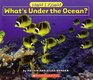 What's Under the Ocean Now I Know Scholastic