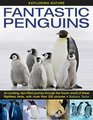 Exploring Nature Fantastic Penguins An Exciting FactFilled Journey Through the Frozen World of These Flightless Birds with More than 200 Pictures