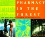 Pharmacy In The Forest  How Medicines Are Found In The Natural World