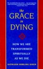 The Grace in Dying How We Are Transformed Spiritually as We Die