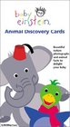 Baby Einstein Animal Discovery Cards  Beautiful Nature Photographs and Animal Facts to Delight Your Tots