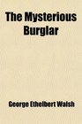 The Mysterious Burglar