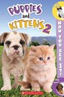 Now You See It! Puppies & Kittens 2
