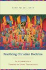 Practicing Christian Doctrine An Introduction to Thinking and Living Theologically