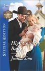 High Country Baby (Brands of Montana, Bk 3) (Harlequin Special Edition, No 2481)