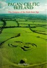 Pagan Celtic Ireland The Enigma of the Irish Iron Age
