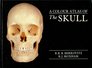 Color Atlas of the Skull