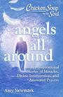 Chicken Soup for the Soul Angels All Around 101 Inspirational Stories of Miracles Divine Intervention and Answered Prayers