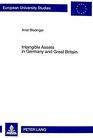 Intangible Assets In German And Great Britain An Accounting Comparison