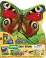 Animal Adventures Insects and Spiders