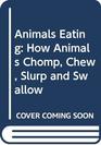 Animals Eating How Animals Chomp Chew Slurp and Swallow