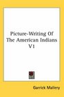 PictureWriting Of The American Indians V1