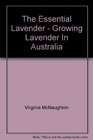 The Essential Lavender  Growing Lavender In Australia