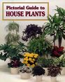 Pictorial Guide to House Plants