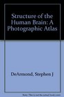 Structure of the Human Brain A Photographic Atlas