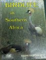 Birdlife in southern Africa