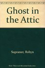 Ghost in the Attic