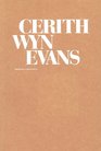Cerith Wyn Evans