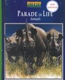 Parade of Life Animals