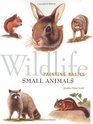 Wildlife Painting Basics Small Animals Small Animals