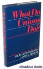 What Do Unions Do
