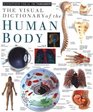 Human Body (DK Visual Dictionaries)