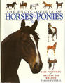 The Encyclopedia of Horses  Ponies
