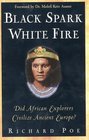 Black Spark White Fire Did African Explorers Civilize Ancient Europe
