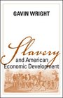 Slavery And American Economic Development