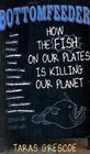Bottomfeeder How the Fish on Our Plates Is Killing Our Planet