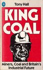 King Coal Miners Coal and Britain's Industrial Future