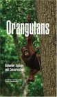 Orangutans Behavior Ecology and Conservation