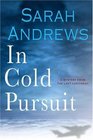 In Cold Pursuit  (Valena Walker, Bk 1)