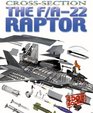 The F/A22 Raptor