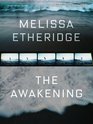 Melissa Etheridge  The Awakening