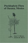 Pteridophyte Flora of Oaxaca Mexico