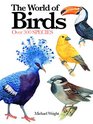 The World of Birds Over 300 Species