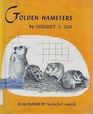 Golden Hamsters