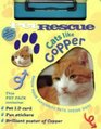 Pet Rescue Cats Like Copper