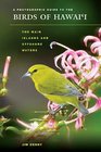A Photographic Guide to the Birds of Hawai'i The Main Islands and Offshore Waters