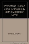 Prehistoric Human Bone Archaeology at the Molecular Level