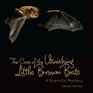 The Case of the Vanishing Little Brown Bats A Scientific Mystery