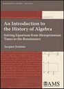 An Introduction to the History of Algebra Solving Equations from Mesopotamian Times to the Renaissance