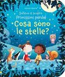 Cosa sono le stelle