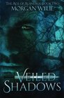 Veiled Shadows The Age of Alandria Book Two
