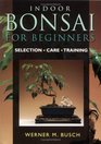 Indoor Bonsai For Beginners Selection  Care  Training
