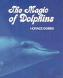 The Magic of Dolphins