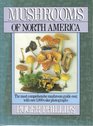 Mushrooms of North America