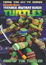 Teenage Mutant Ninja Turtles Animated Volume 1 Rise of the Turtles