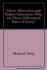 Ethnic Minorities and Higher Education